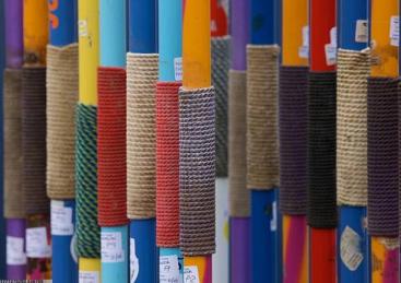 健身器材研发团队